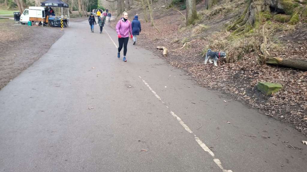 dog friendly Bingham Park