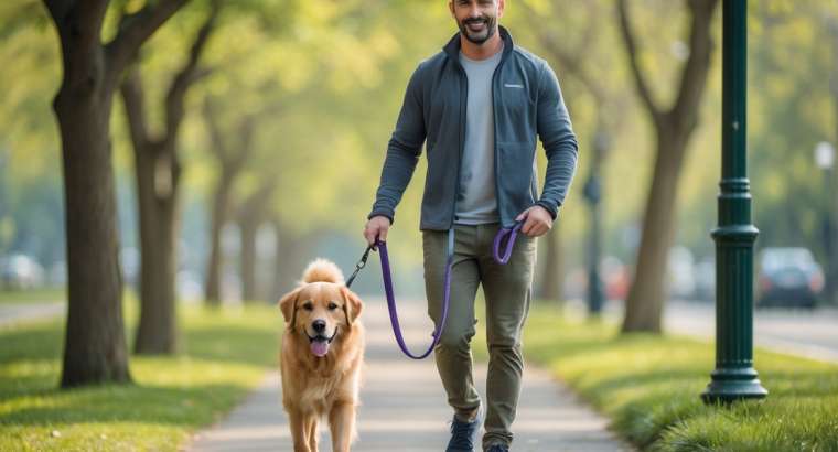 What Benefits Do Personalised Dog Walking Services Offer For Pet Owners And How Can They Make Your Life Easier