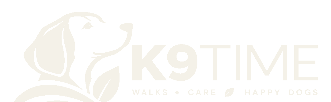 K9 Time dog walking and pet care in Sheffield