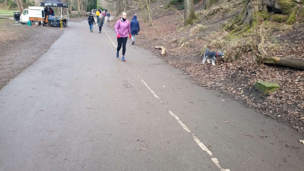dog friendly Bingham Park