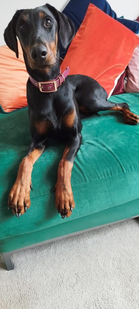 Ruby