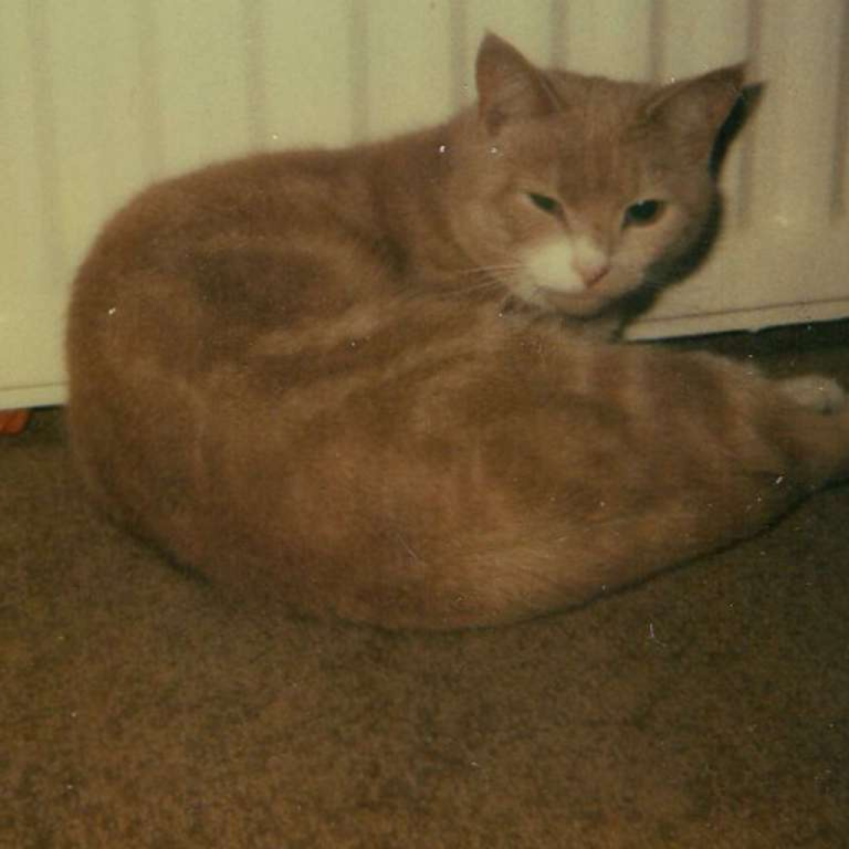 Henry